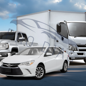 ProDiag 1 year subscription for cars & trucks